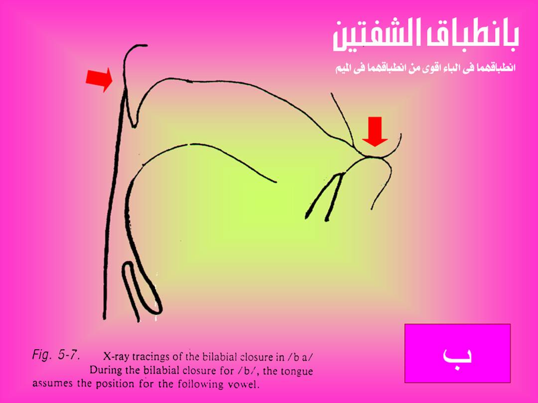 تجويد الحرف - مخارج الحروف